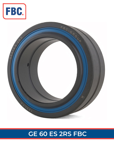 GE 60 ES 2RS FBC (ISO)