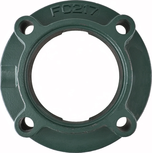 FC 217 NTL